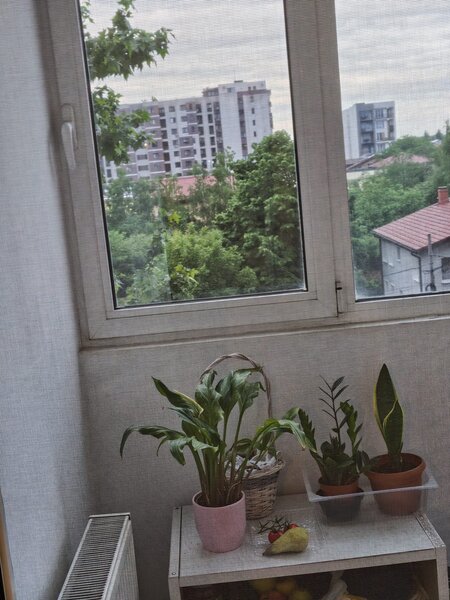 Drumul Taberei, Garsoniera, Prelungirea Ghencea Complex Primavara!